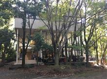 無常な日常(港北ニュータウンでランチ)