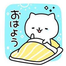 皆さん、おはようございます＼(^o^)／