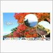 11/6（日）は芦有ドライブウェイへ。朝7時頃に到着予定
