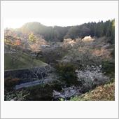 今朝の小原ふれあい公園