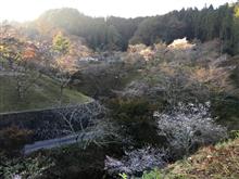今朝の小原ふれあい公園