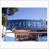 海洋祭に行ってみた