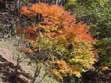 紅葉ハイキング②（後編）