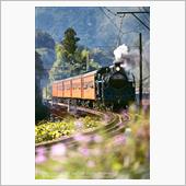 大井川鉄道でSL撮影　俺達は ...
