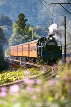 大井川鉄道でSL撮影　俺達は天使だ！