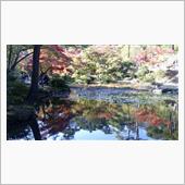やひこ公園