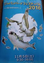 水辺の鳥祭りなど