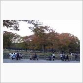 紅葉を見がてら