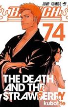 BLEACH Final Volume BLEACH Final Volume