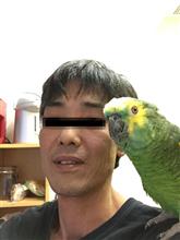 一昨日!ピーコがきました。 一昨日!ピーコがきました。