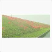 最近のいろいろ～～　-201 ...