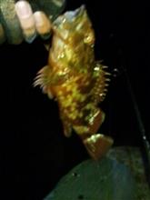 孤独の釣り 孤独の釣り