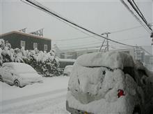 雪 雪