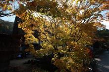 2016年の紅葉⑥:白川郷と郡上八幡城 2016年の紅葉⑥:白川郷と郡上八幡城
