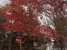 那須塩原へ紅葉狩り🍁🍁
