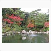 秋を求めて