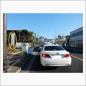 青い鳥しか目に入らない（笑）