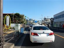 青い鳥しか目に入らない（笑）