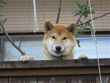 お出迎え