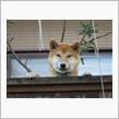 お出迎え