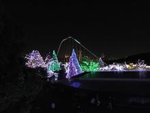 読売ランド　イルミネーション　２０１６年１１月５日