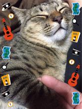 11月はお仕事お休みが多い⁉︎(⌒-⌒; )