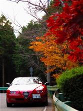 紅葉を見に行こうYo (≡ﾟ∀ﾟ≡)！
