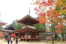 錦秋の竜神スカイラインと高野山