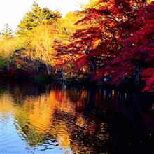 🍁紅葉🍁 のち　✨️洗車＆簡コー✨️