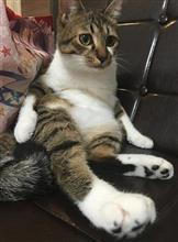 スマホ交換・・・疲れた・・・愚痴です