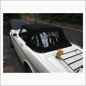 今年はダットさんで神宮外苑へ