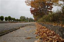 いつもの道