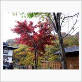 十日町紅葉めぐり2016 後編