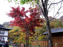 十日町紅葉めぐり2016 後編 十日町紅葉めぐり2016 後編