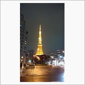 本日の東京タワー