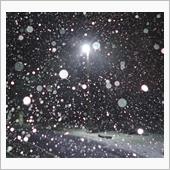 初雪
