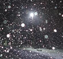 初雪