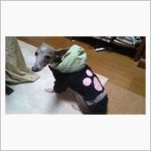 メラルーがいます。
