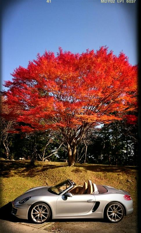 せせらぎ街道 比叡山 伊吹山 ひるがの高原紅葉ドライブ ノエルポルシェのブログ ノエルと歩むハッピーライフ みんカラ せせらぎ街道 比叡山 伊吹山 ひるがの高原紅葉ドライブ ノエルポルシェのブログ ノエルと歩むハッピーライフ みんカラ