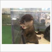 磐田ナイト、やっちゃお♪（爆ｗ