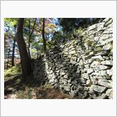 長野 松本市の城と紅葉を満喫 ...