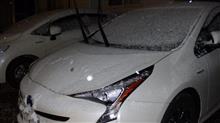 初雪 ⛄ ❅