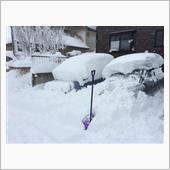 雪なんて降らなきゃいいのに。 ...