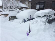 雪なんて降らなきゃいいのに。。。