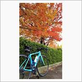 【自転車】大窪寺紅葉狩りサイ ...