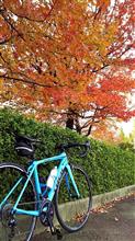 【自転車】大窪寺紅葉狩りサイクリング 【自転車】大窪寺紅葉狩りサイクリング
