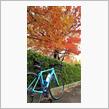 【自転車】大窪寺紅葉狩りサイクリング