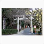 ズレてても、『光の道』は人で ...