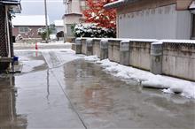 ｈａｔｕｙｕｋｉ