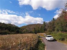 三重滋賀県道５０号伊賀信楽線　